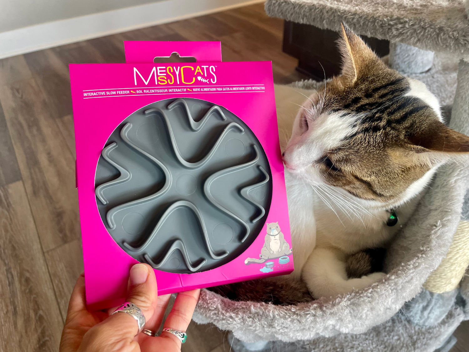 Messy Mutts Messy Cats Interactive Slow Feeder - makoa sniffing the product in the box