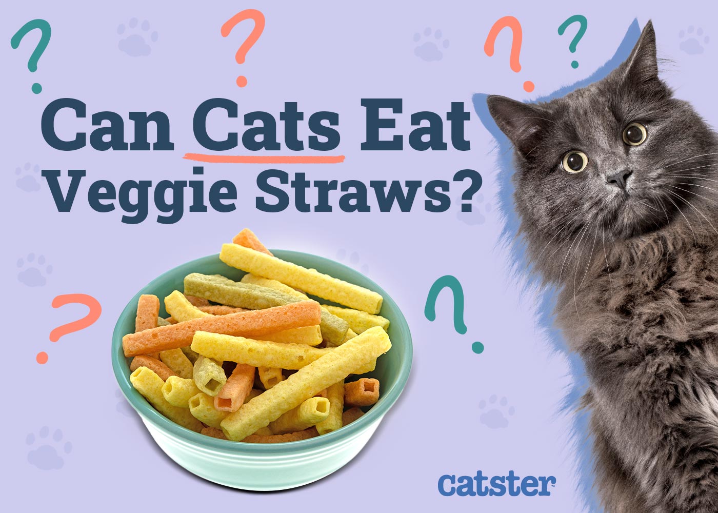 Can Cats Eat Veggie Straws? Vet-Verified Particulars & FAQ